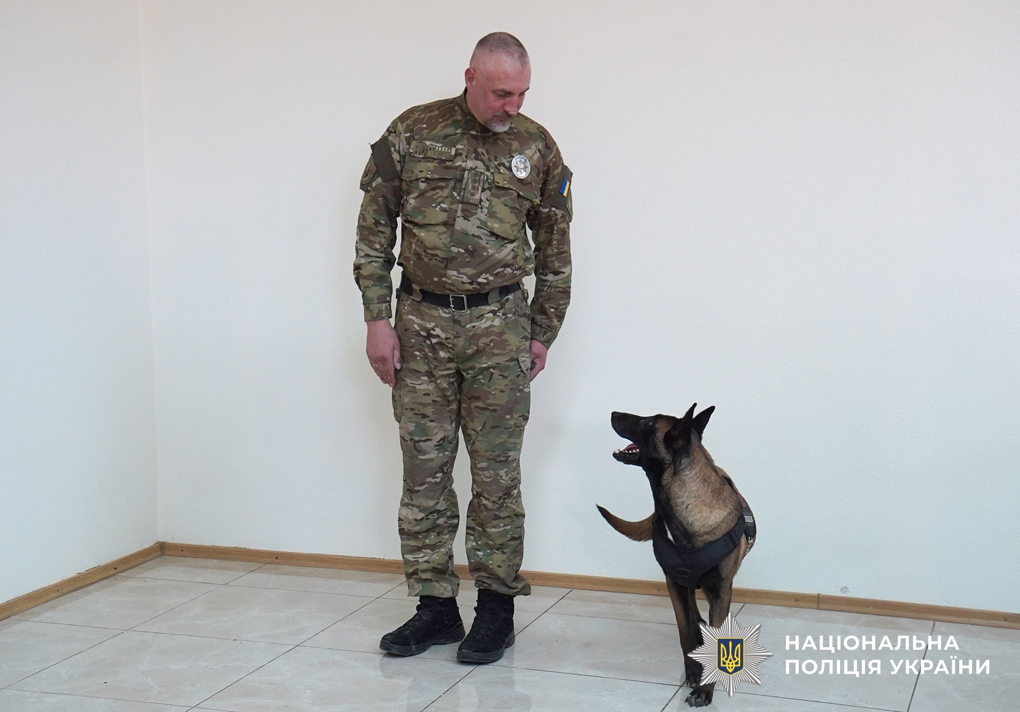 Кінологи поліції демонструють дресуру службових собак