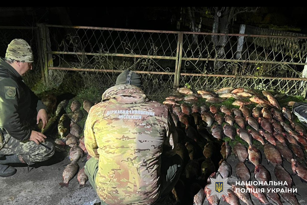 вилучена риба