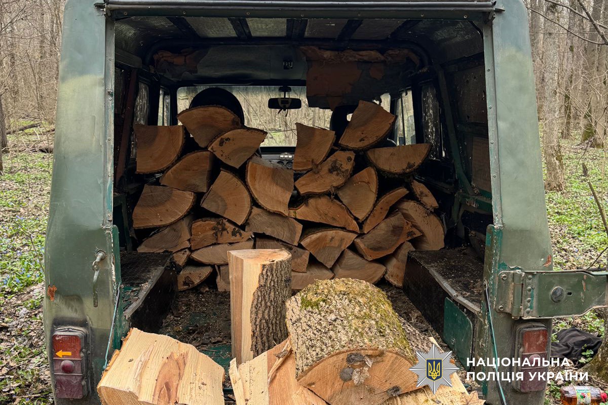 вилучені дрова