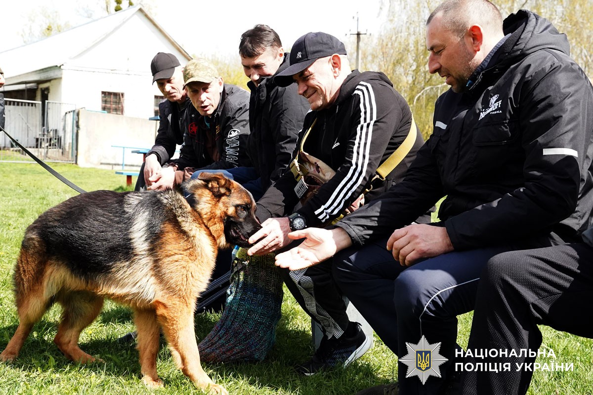 Захисники спілкуються із собаками
