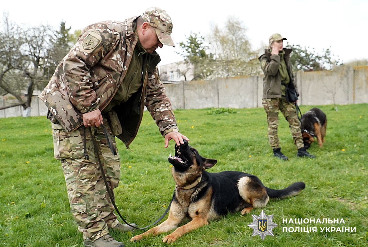 Кінологи із собаками 