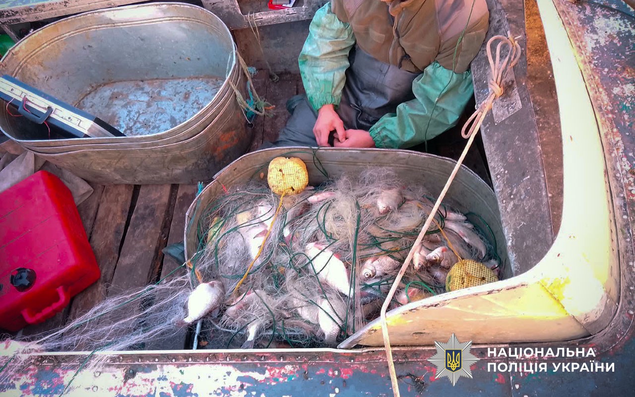 Незаконно виловлена риба в сітках