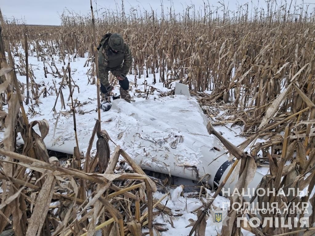 з початку року вибухотехніки нацполіції знешкодили близько 40 бойових частин крилатих ракет та понад 30 фугасних авіабомб