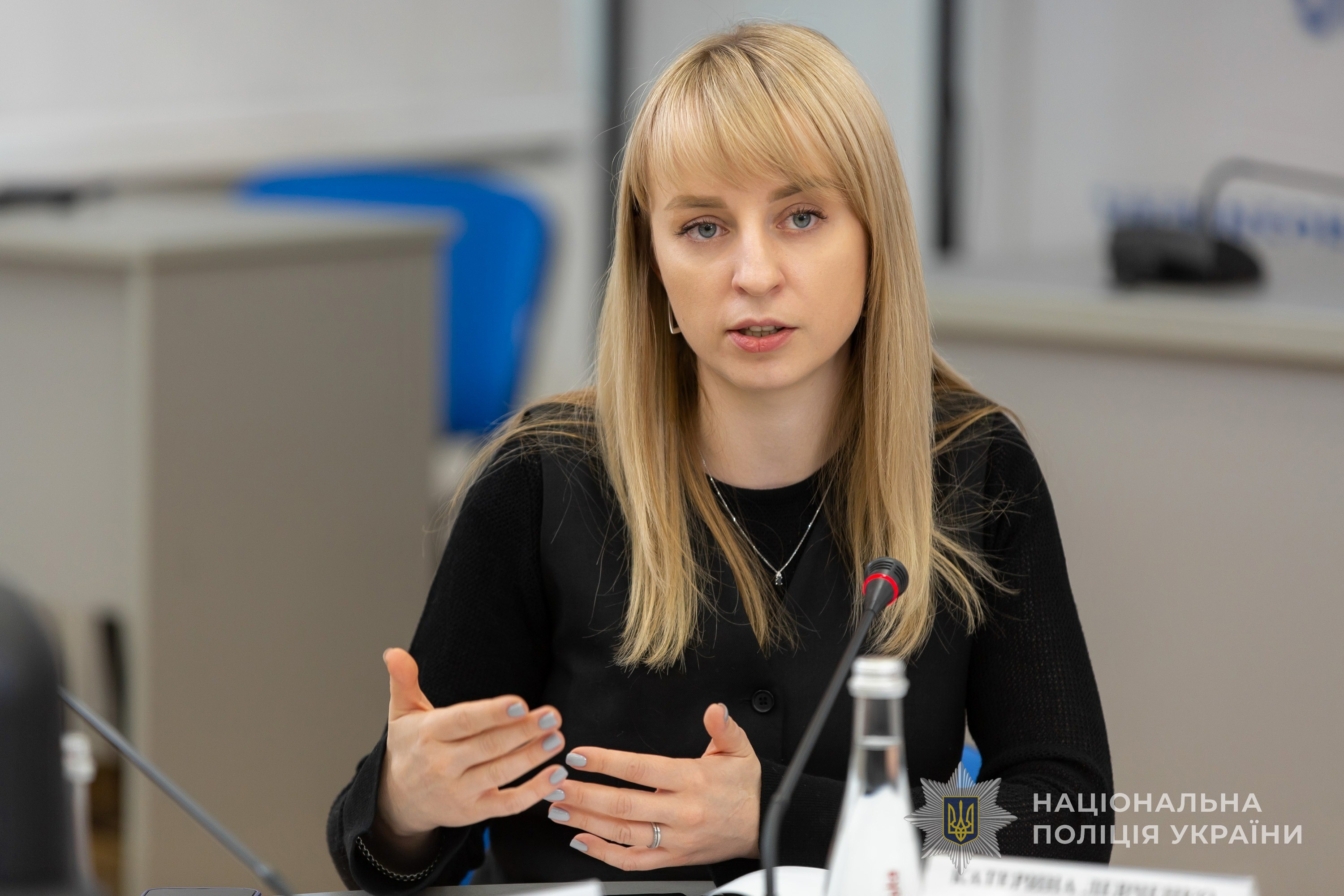 кількість заяв про вчинення домашнього насильства збільшується - катерина павліченко