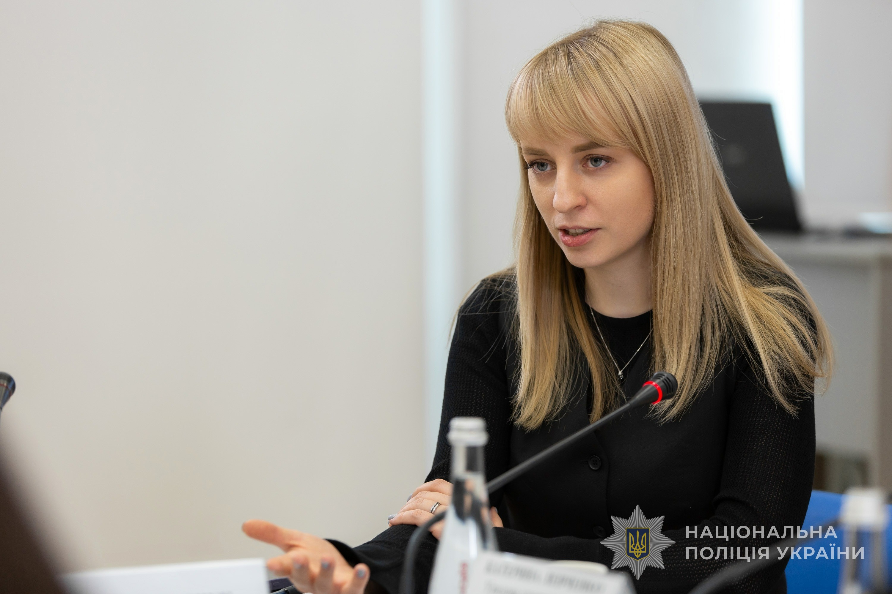кількість заяв про вчинення домашнього насильства збільшується - катерина павліченко