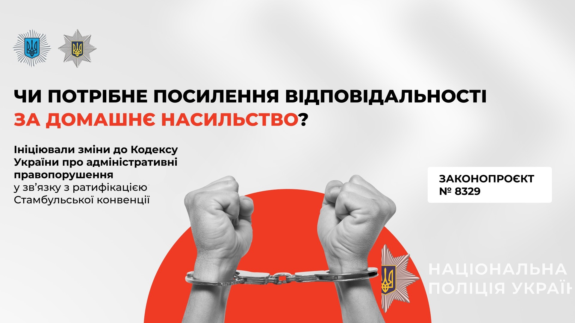 кількість випадків домашнього насильства зросла на 20%: мвс та парламент працюють над посиленням відповідальності