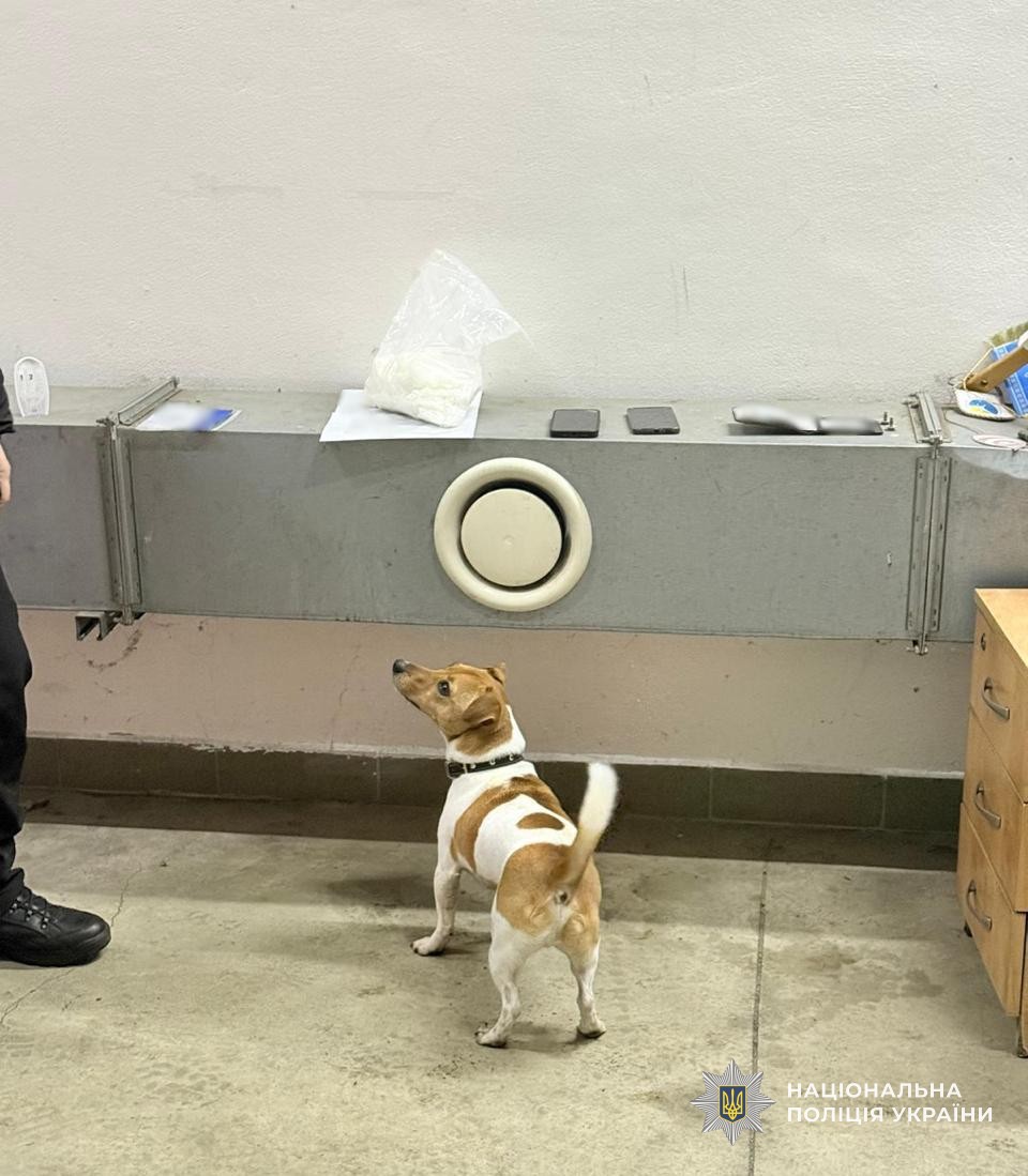 Службовий собака та вилучені з місця події психотропи