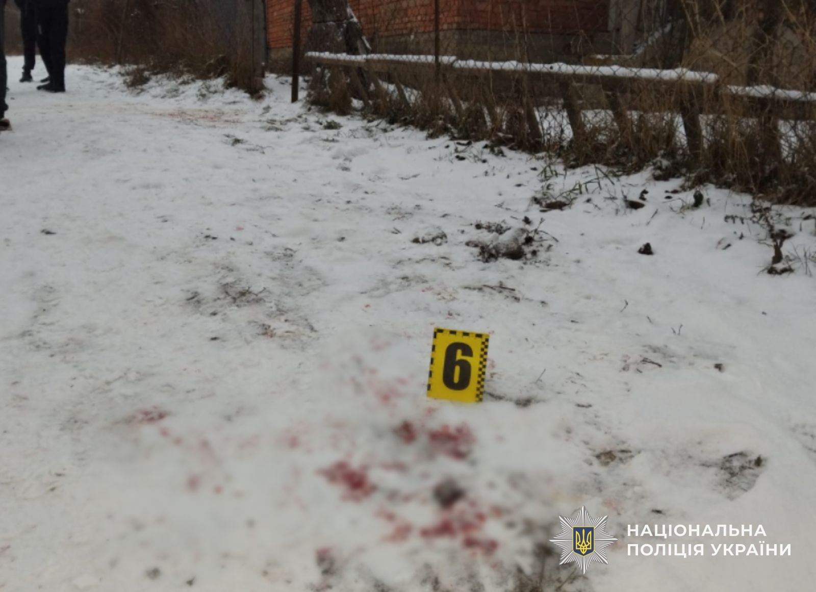 Місце події у селі Бедевля Тячівського району