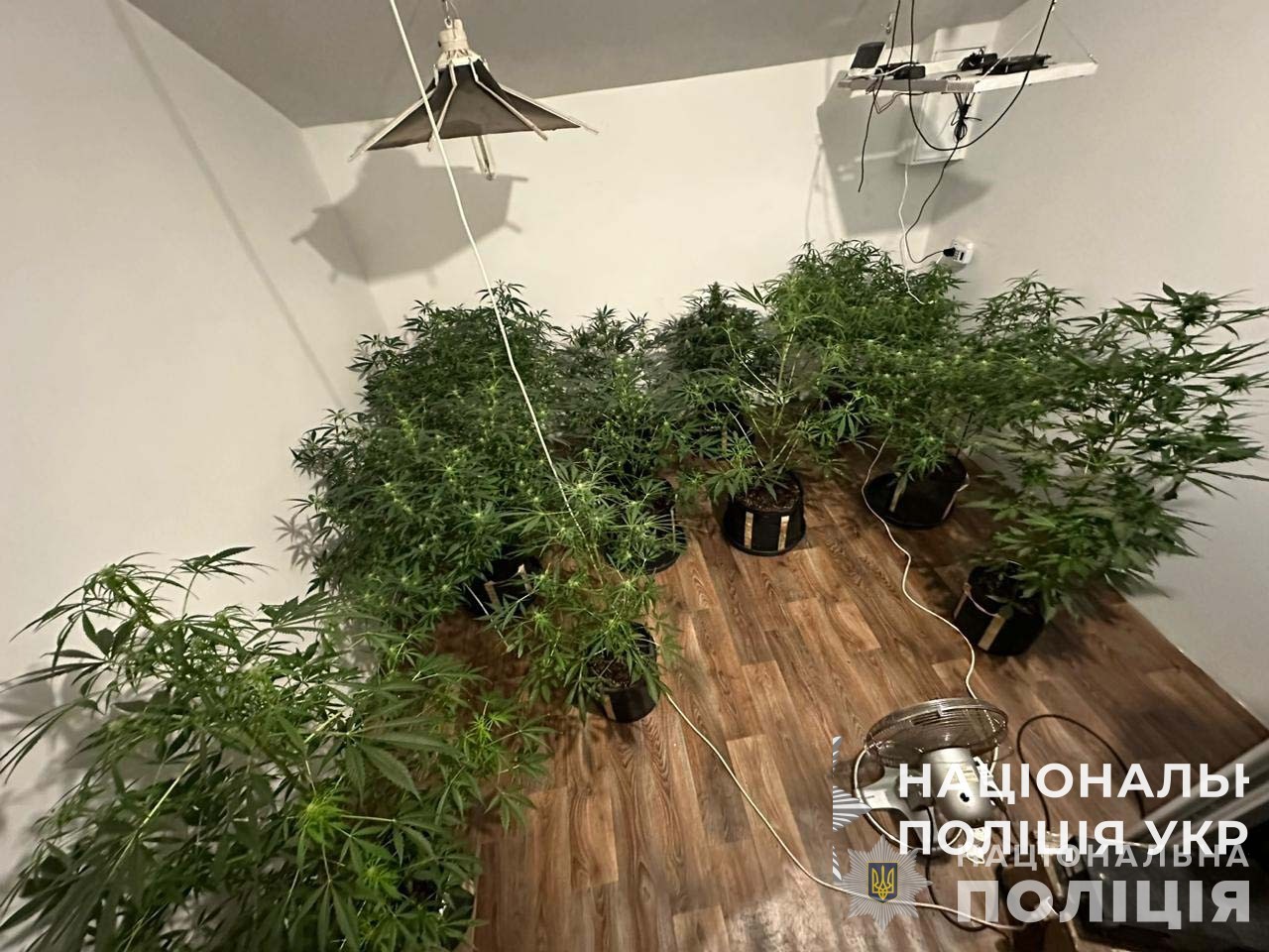 судитимуть 14 учасників двох відокремлених підрозділів злочинної організації «двадцятівські»