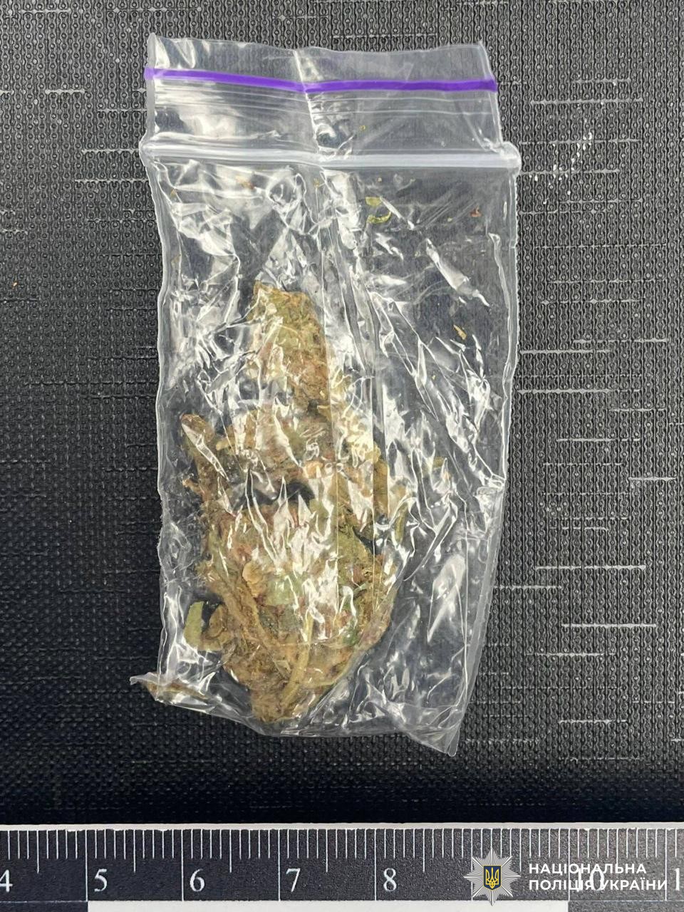 Поліція Вінниччини затримала юнака, який розкладав закладки із нарокотиками по обласному центру