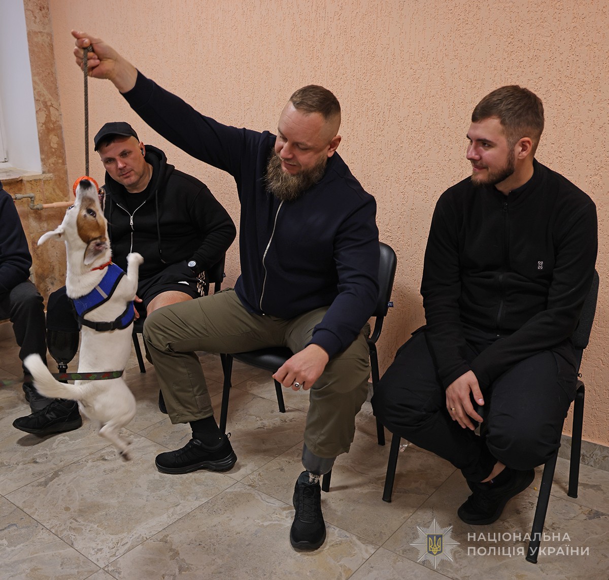 ветерани бавляться із собакою