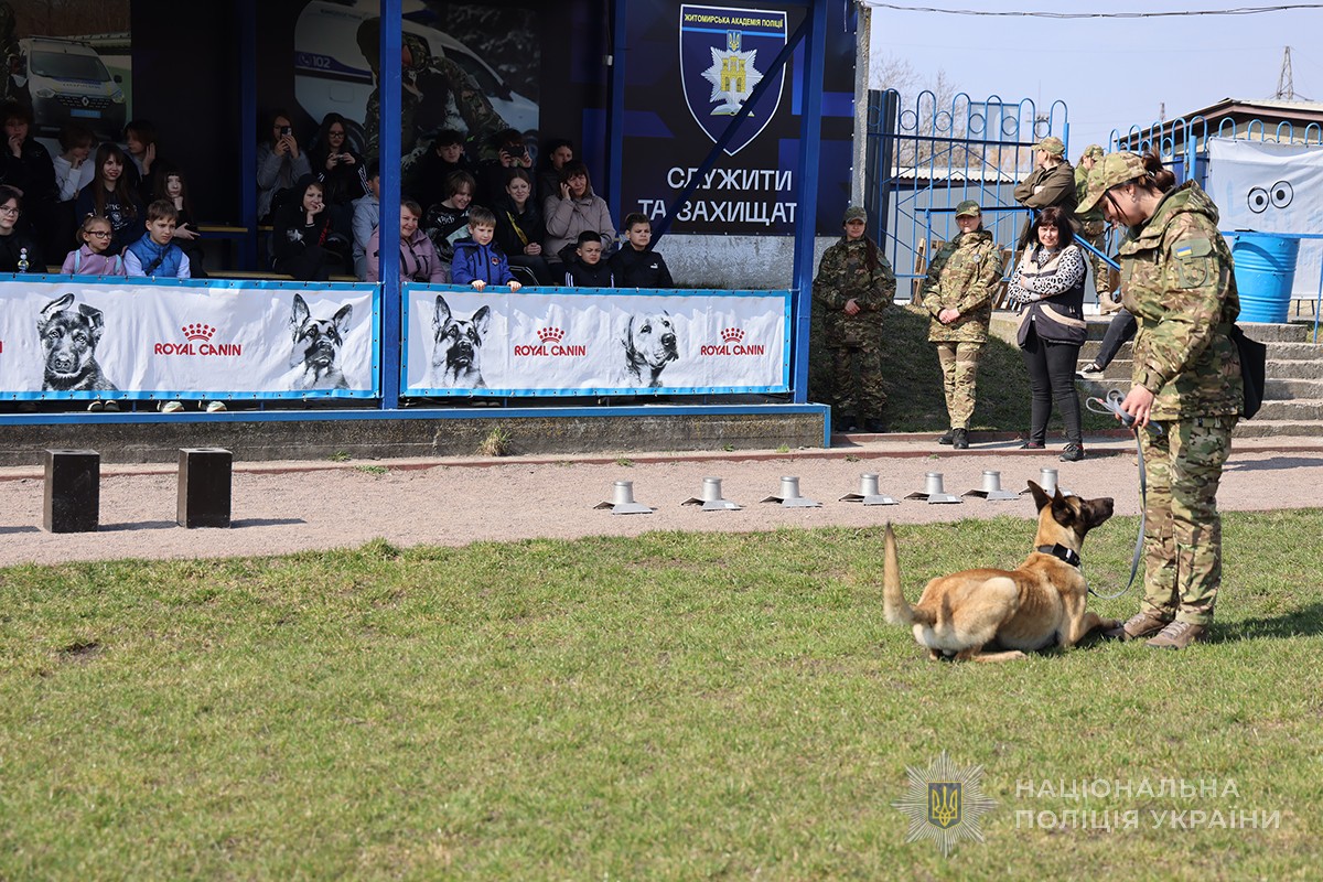 демонстрація навичок слухняності