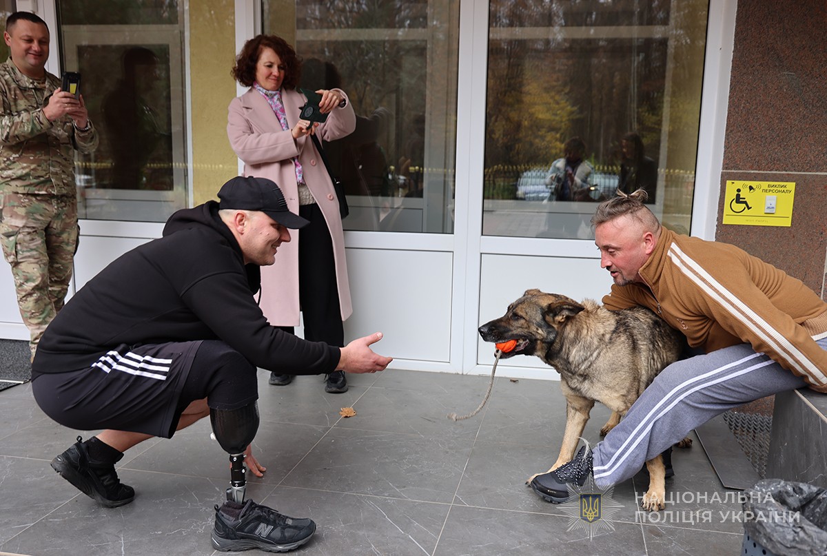 ветерани бавляться із собакою
