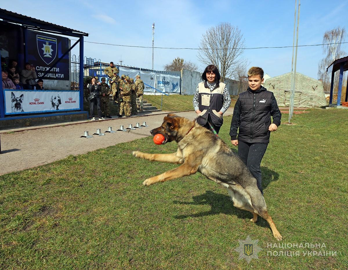 діти тренуються із собаками