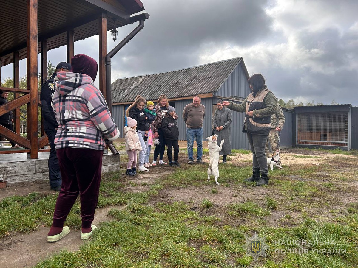 кінологи демонструють слухняність собак