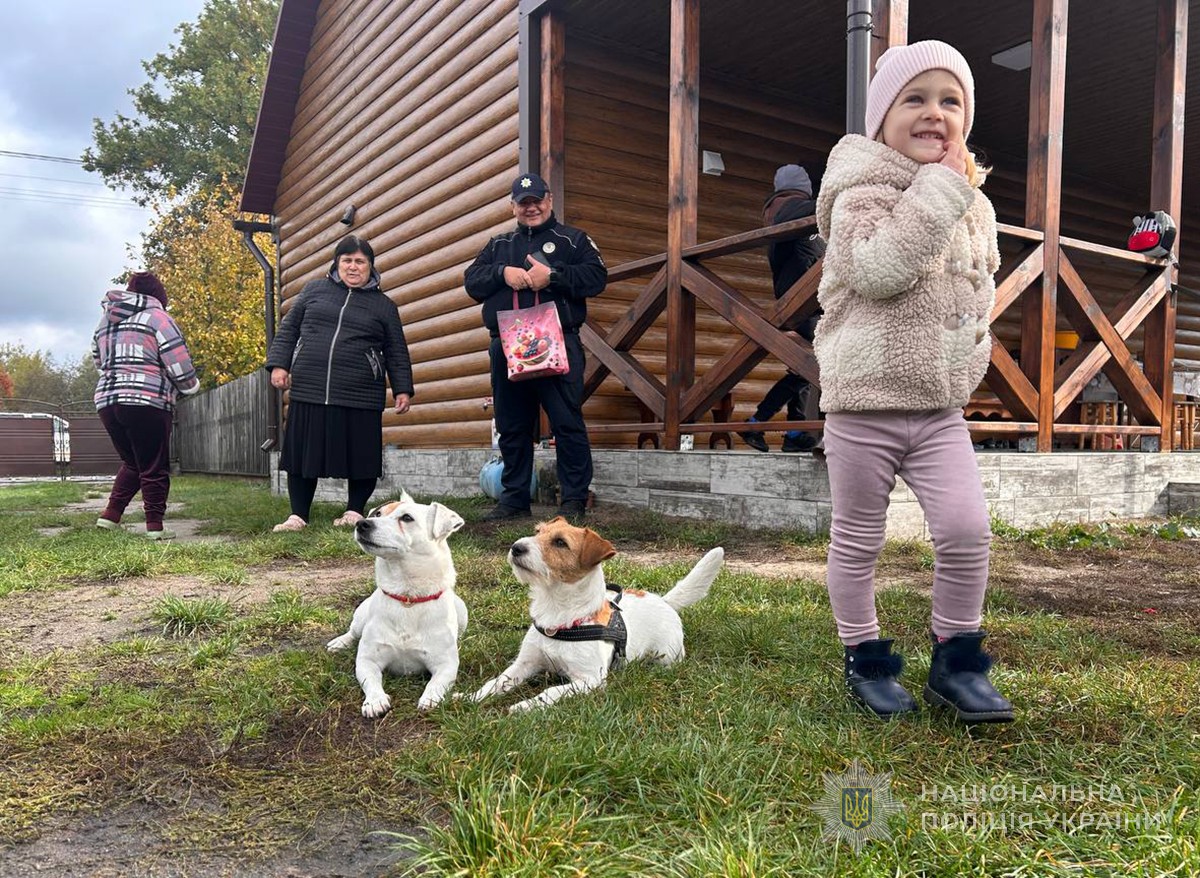 дитина посміхається біля двох собак