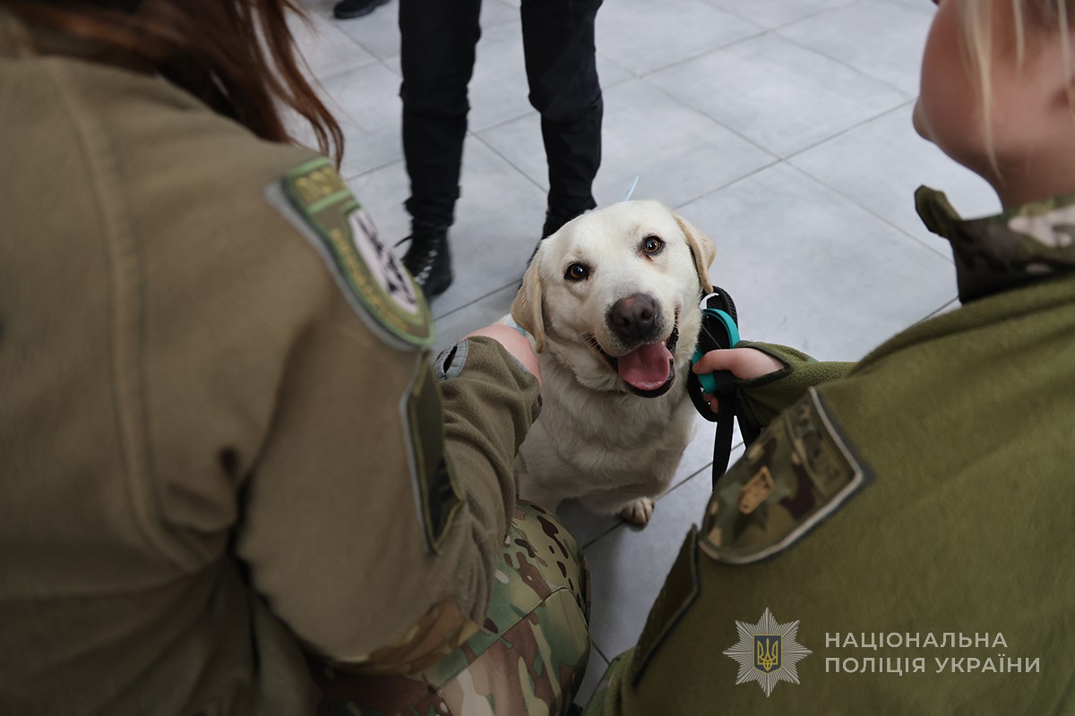 собака сидить між людьми