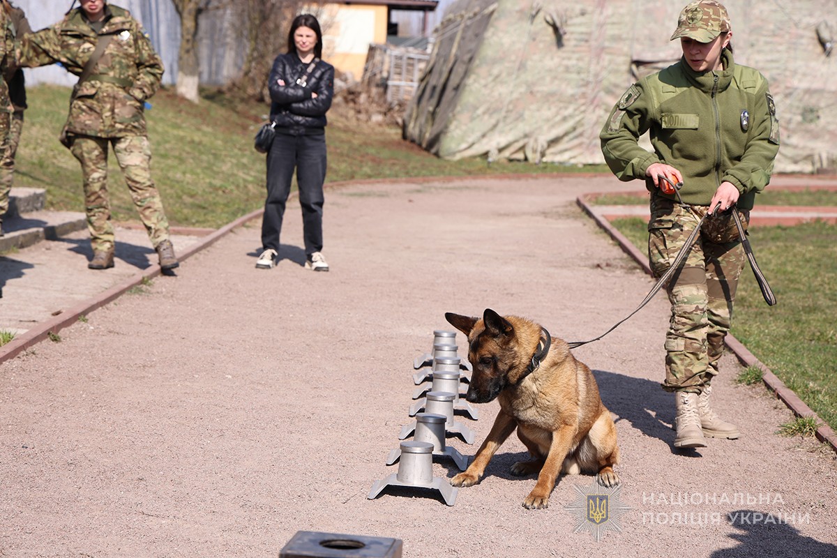 демонстрація пошукових навичок собаки