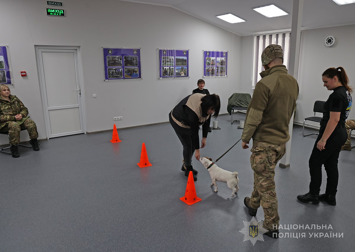 учасника водять кінолог і психолог по залу