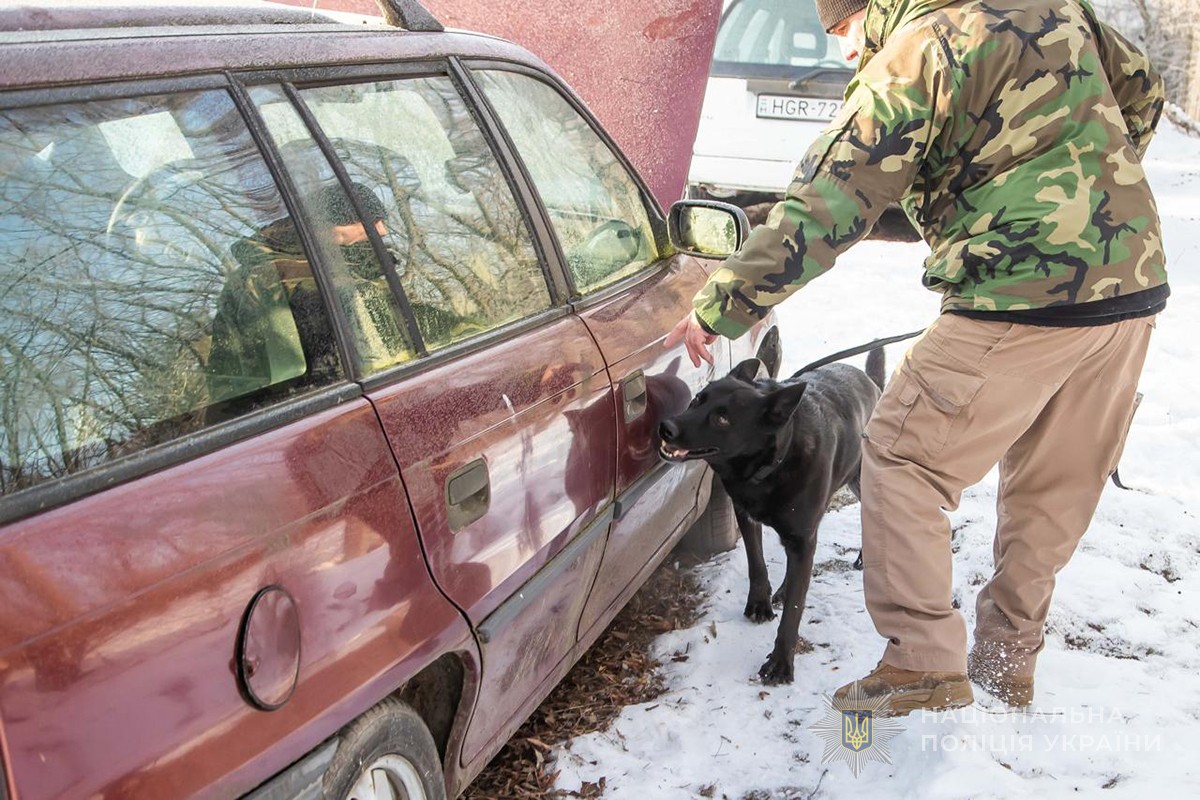 кінолог і собака оглядають авто