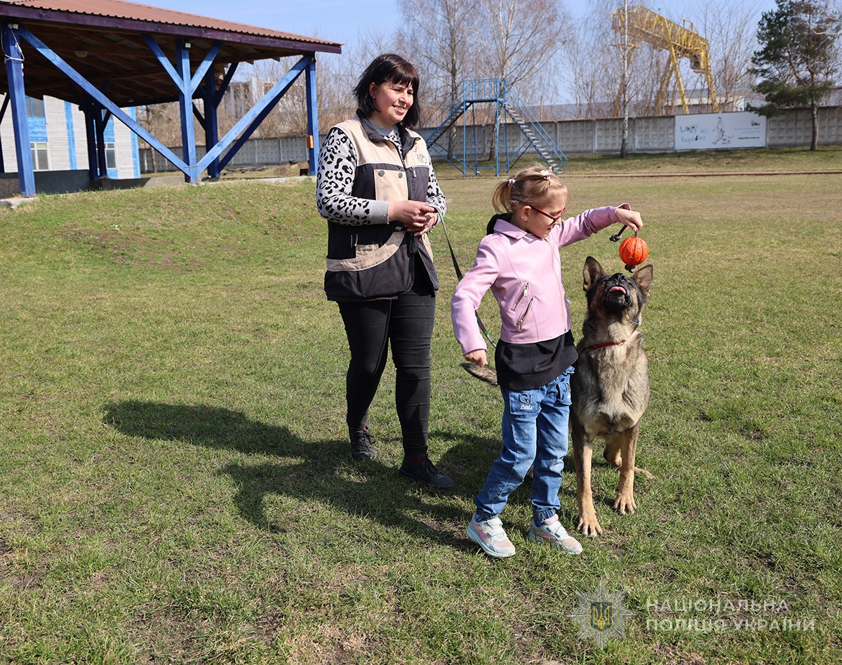 діти тренуються із собаками