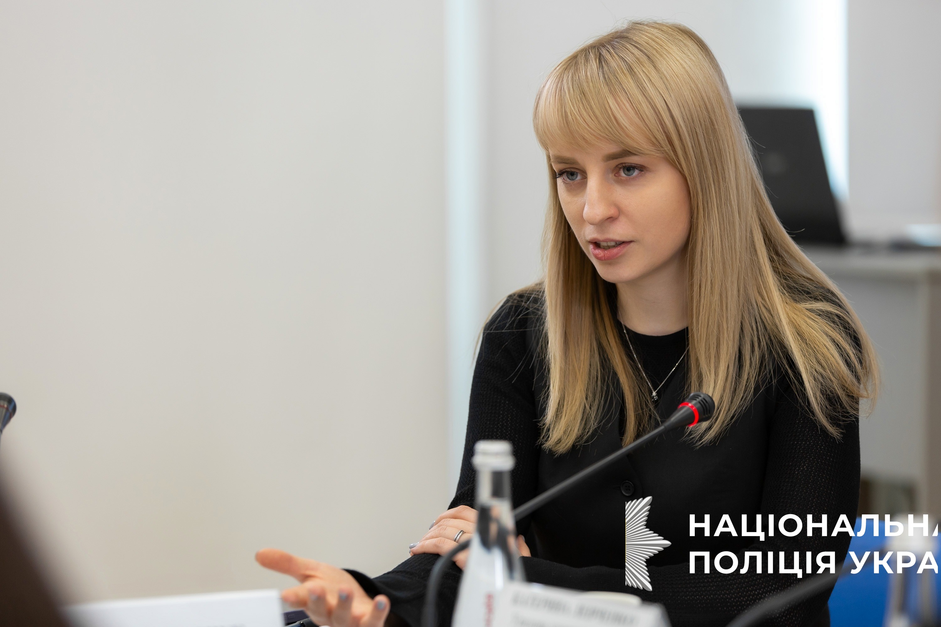 кількість заяв про вчинення домашнього насильства збільшується - катерина павліченко
