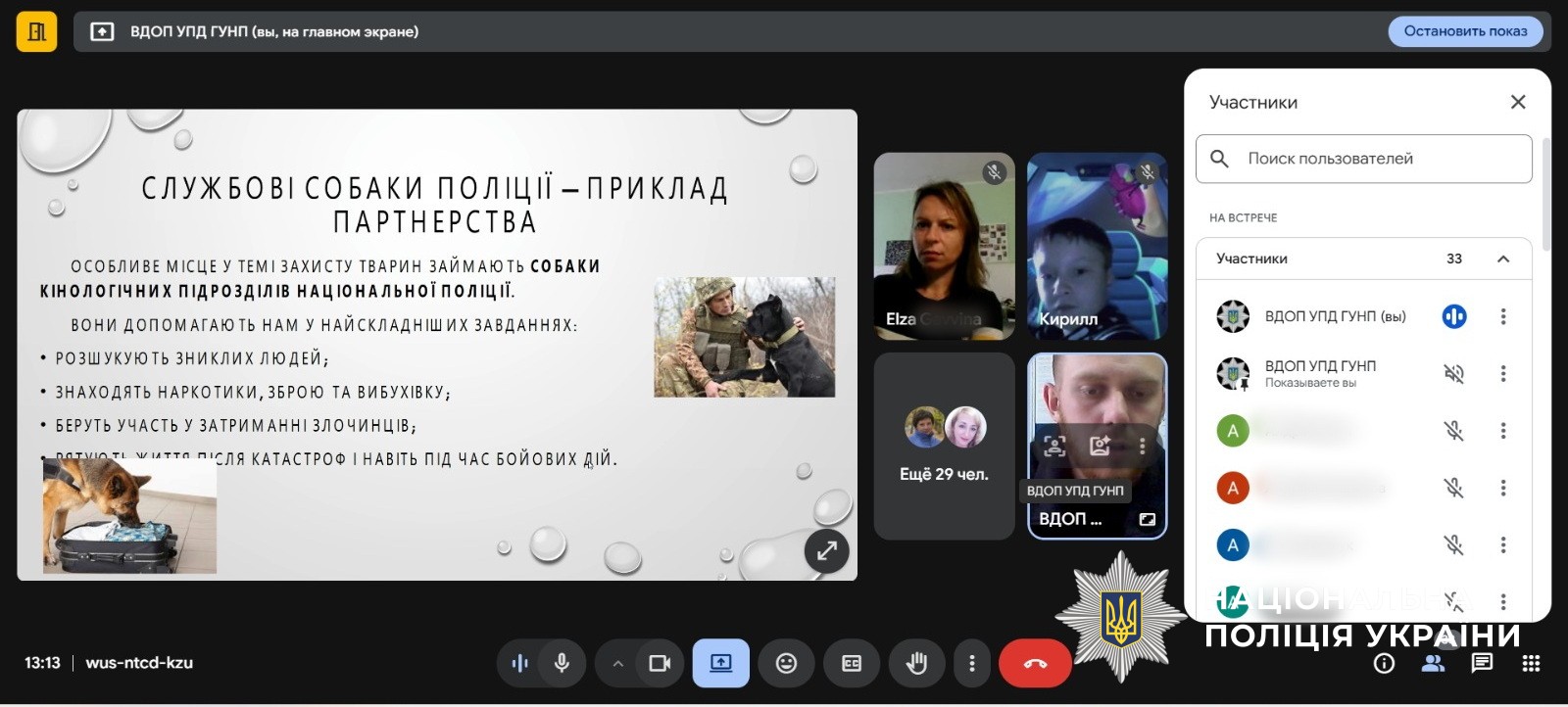 онлайн урок до Всесвітнього дня захисту тварин