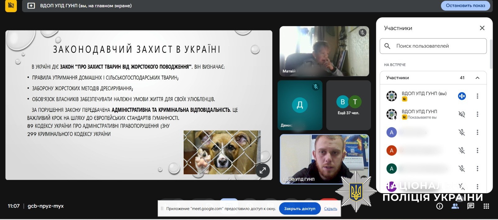 онлайн урок до Всесвітнього дня захисту тварин