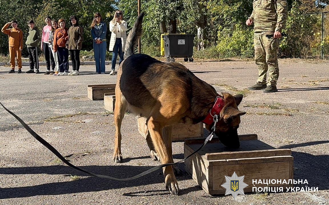 показові виступи службового пса