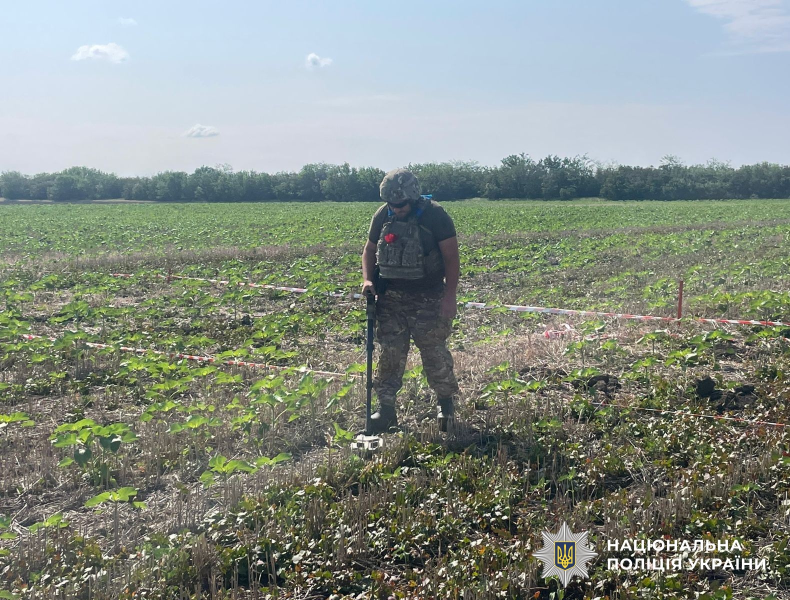 вибухотехнік під час розмінування поля