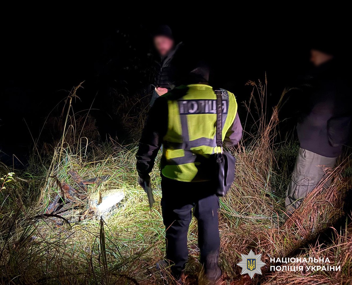 поліцейський та двоє чоловіків у лісі в темну пору доби. світло ліхтарика скеровано на пень