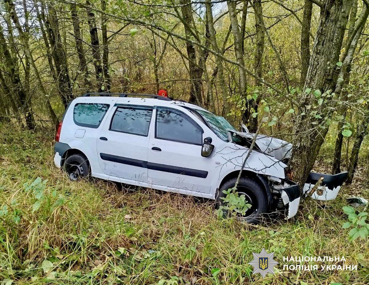 Пошкоджений унаслідок ДТП автомобіль білого кольору, що в'їхав у дерево, вигляд збоку