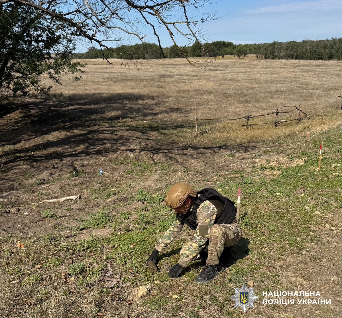 поліцейські вибухотехніки під час розмінування звільнених територій