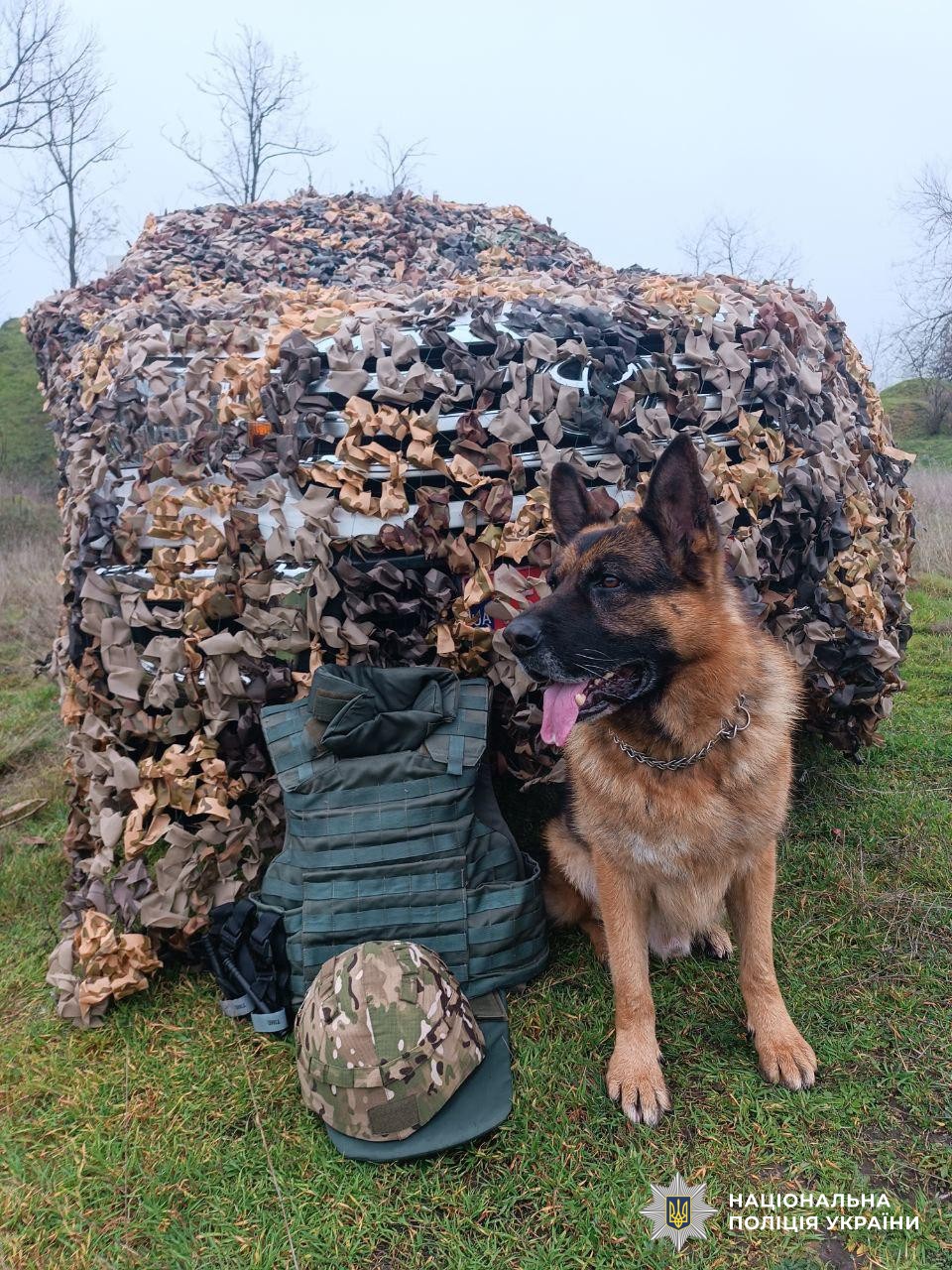 службовий пес Річард