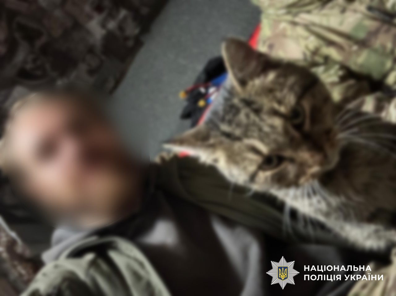 Захисники з котом