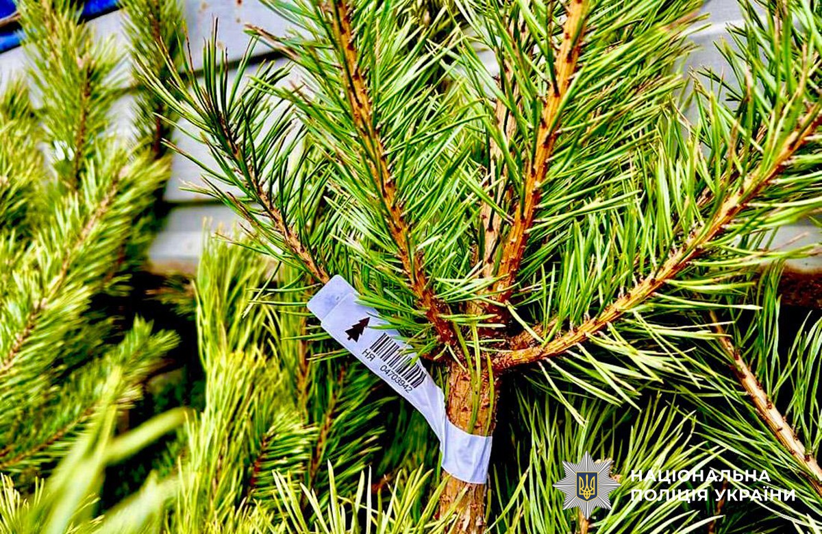 штрих-код на ялинці