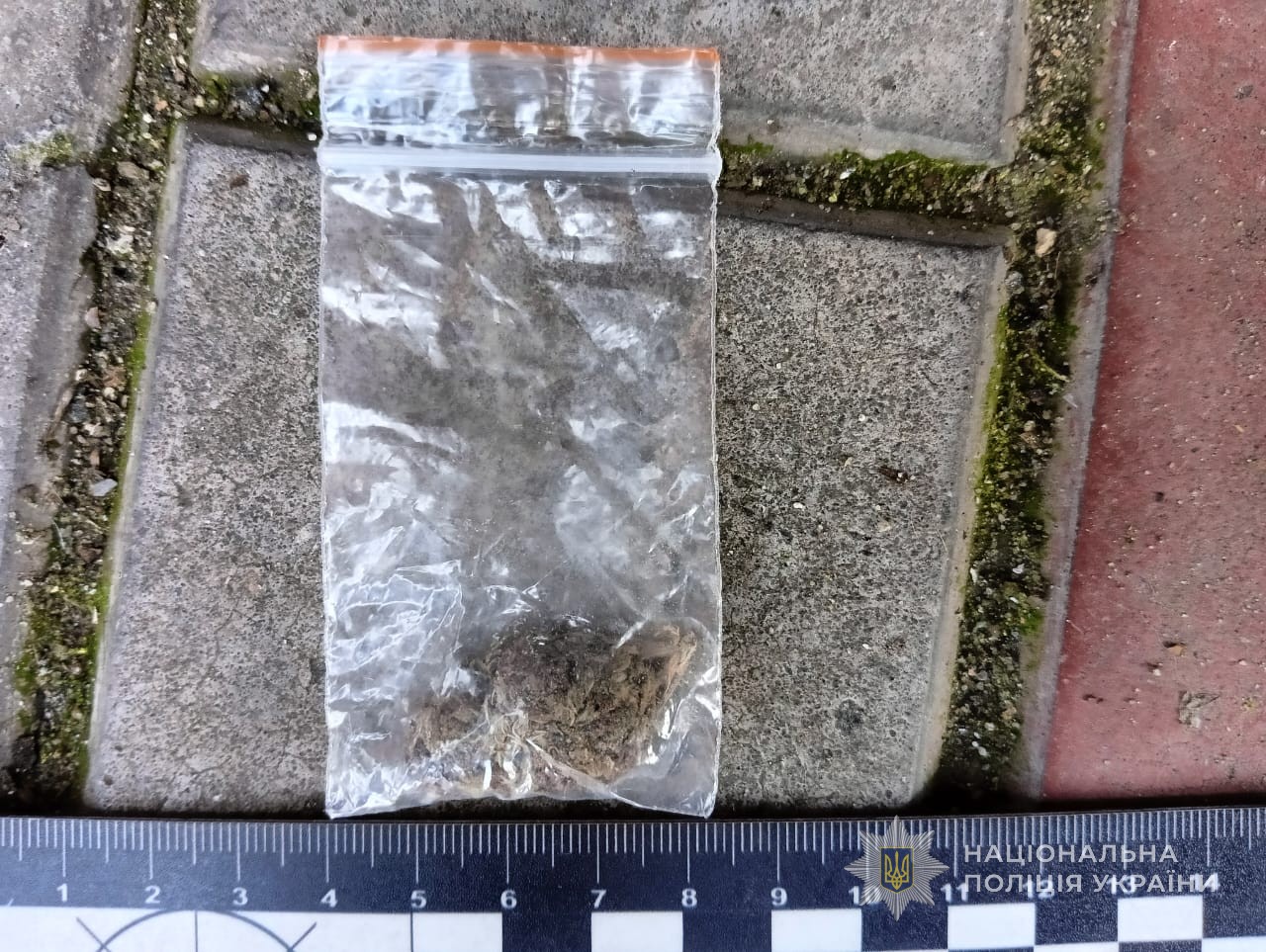 вилучений пакетик з канабісом
