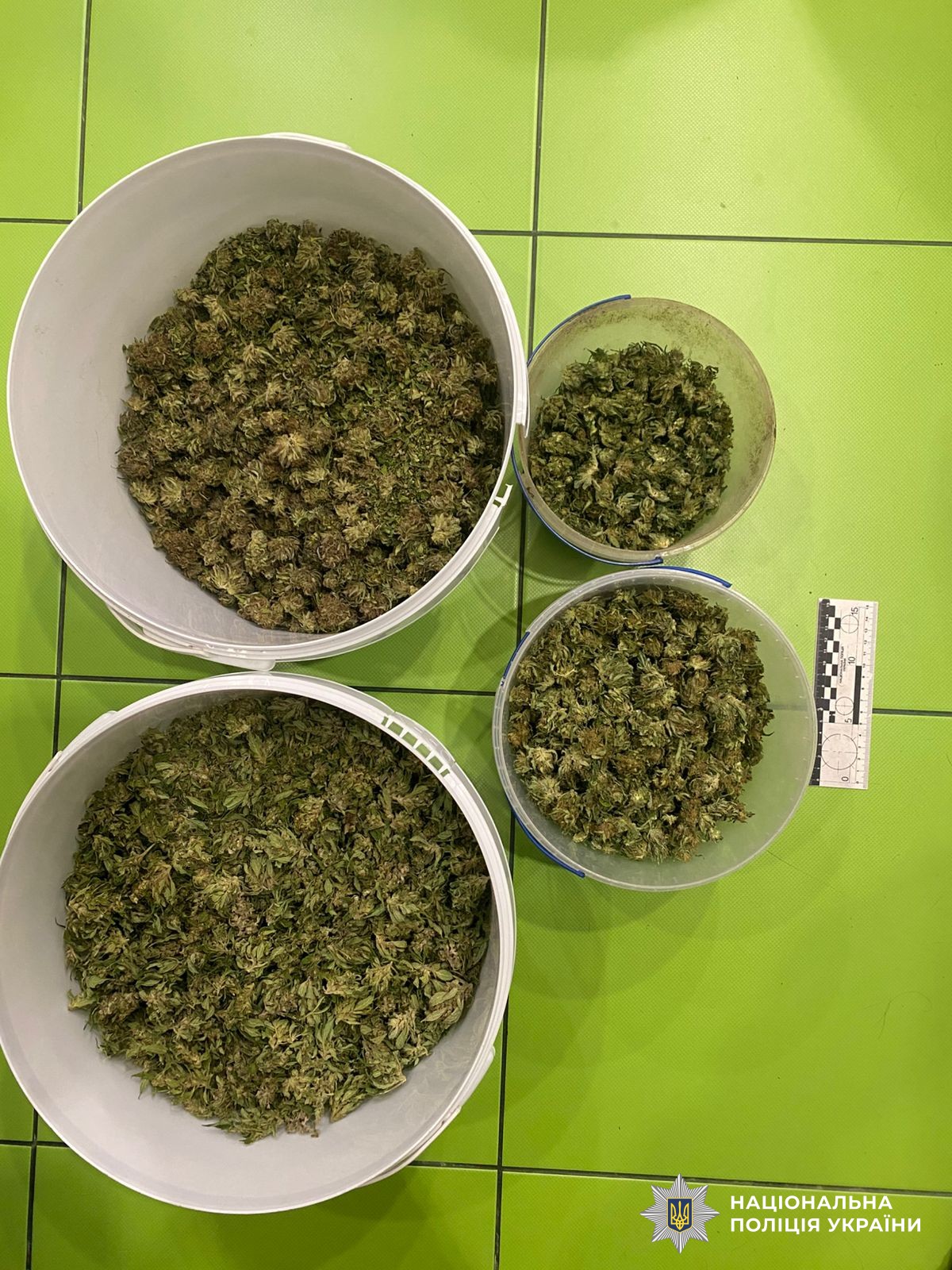 Наркотичні засоби