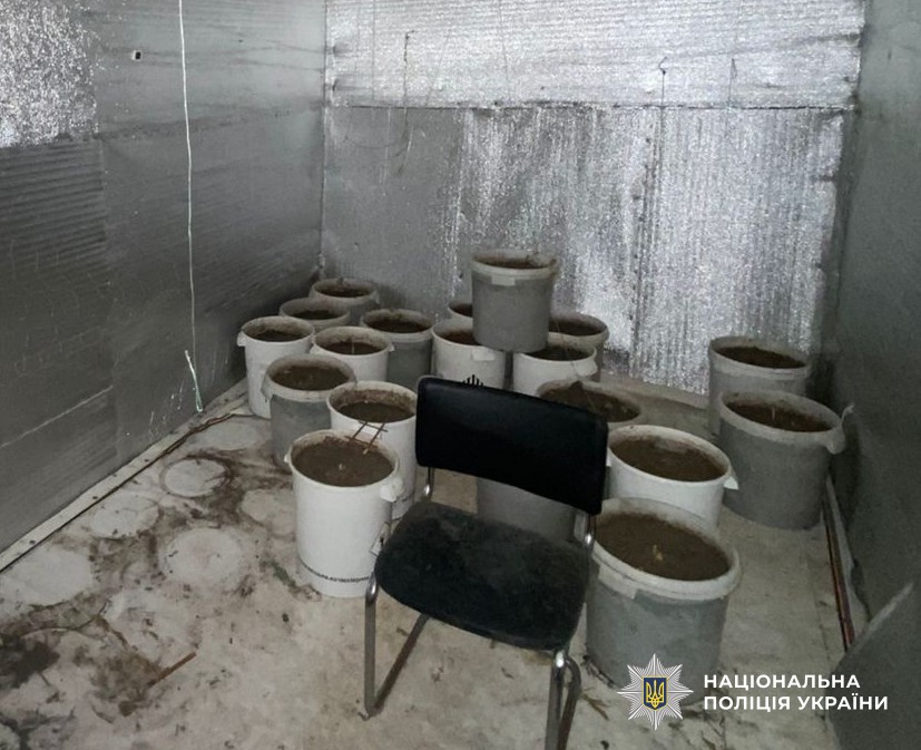 Наркотичні засоби