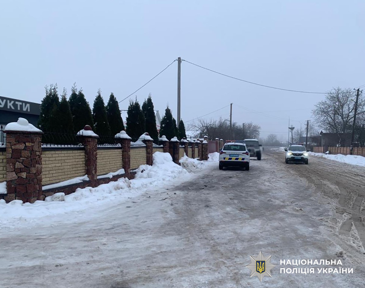 Дорога в селі, автомобілі поліції