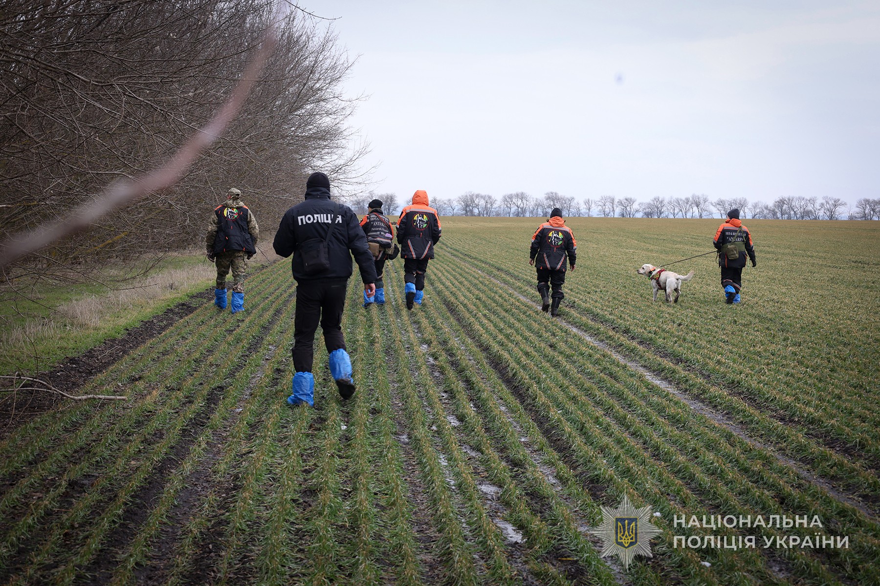 Оперативники запорізької поліції разом з кінологами пошукового загону «Антарєс» обстежують місцевість під час пошуків зниклої безвісти людини. Кушугумська громада. Березень 2025 року.