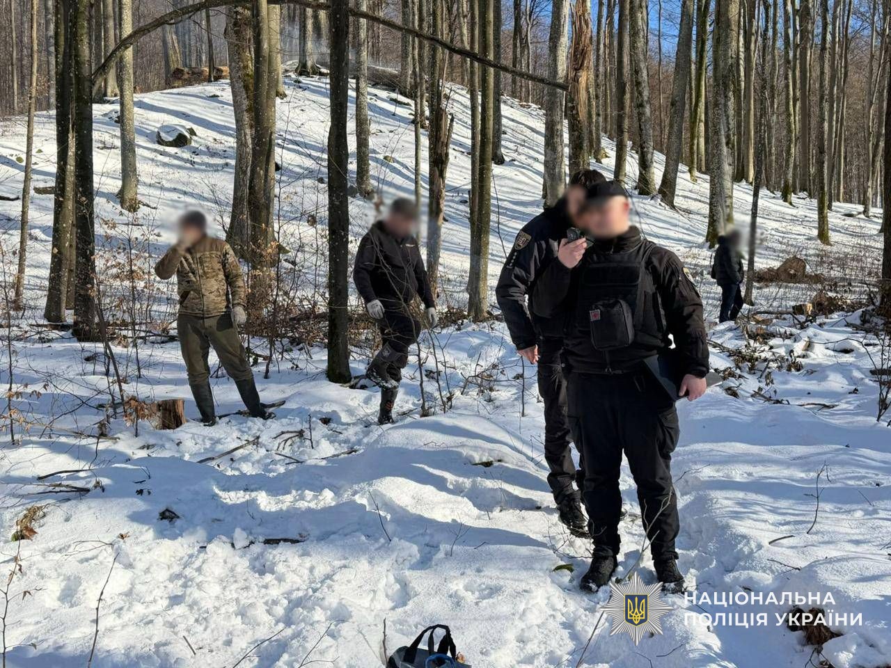 Поліція Закарпаття документує незаконну вирубку дерев на території Свалявського надлісництва