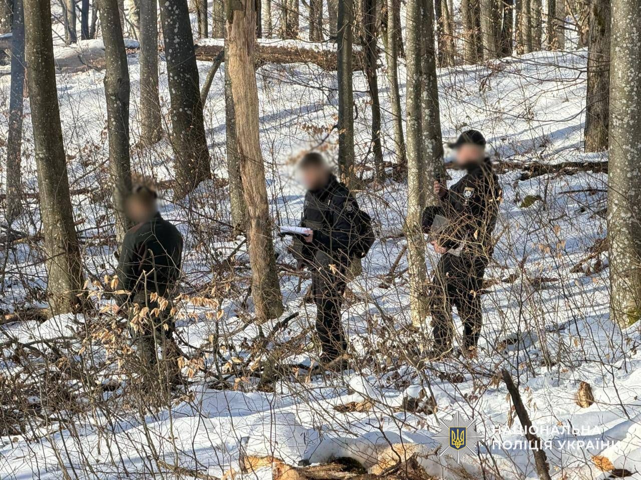 Поліція Закарпаття документує незаконну вирубку дерев на території Свалявського надлісництва