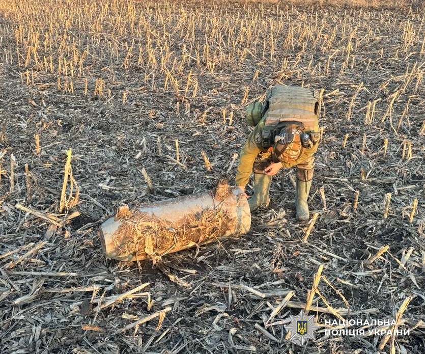 Вибухотехнік знешкоджує небезпечний предмет