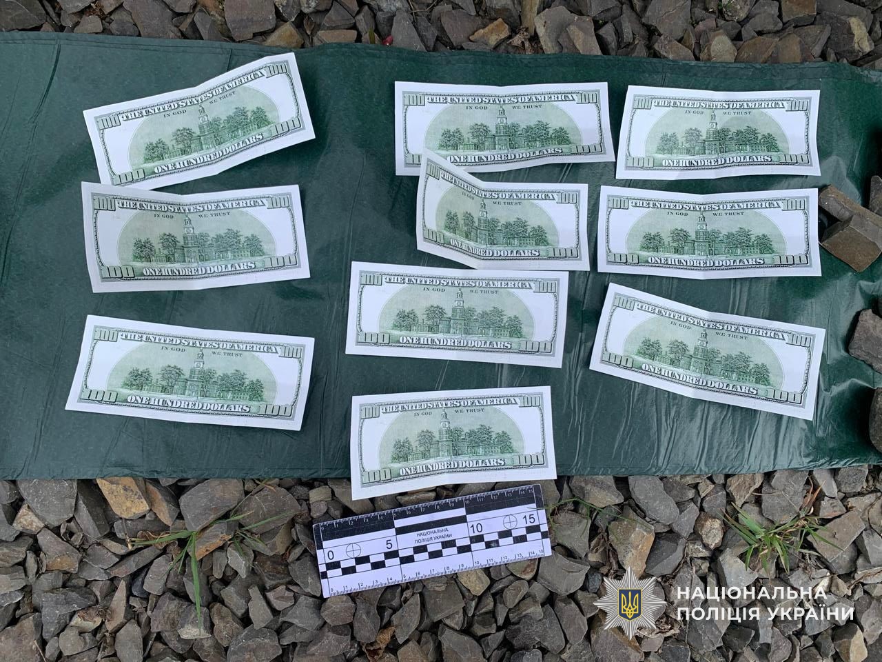 Декілька стодоларових купюр та вимірювальна лінійка лежать на зеленій поверхні та камінні