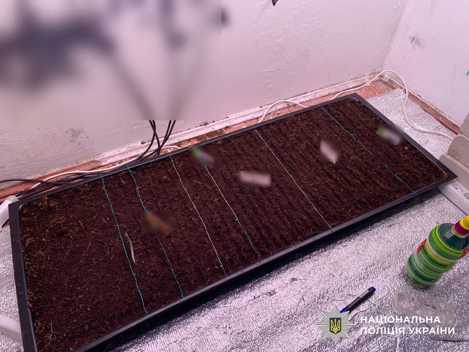 Приладдя для культивування рослин