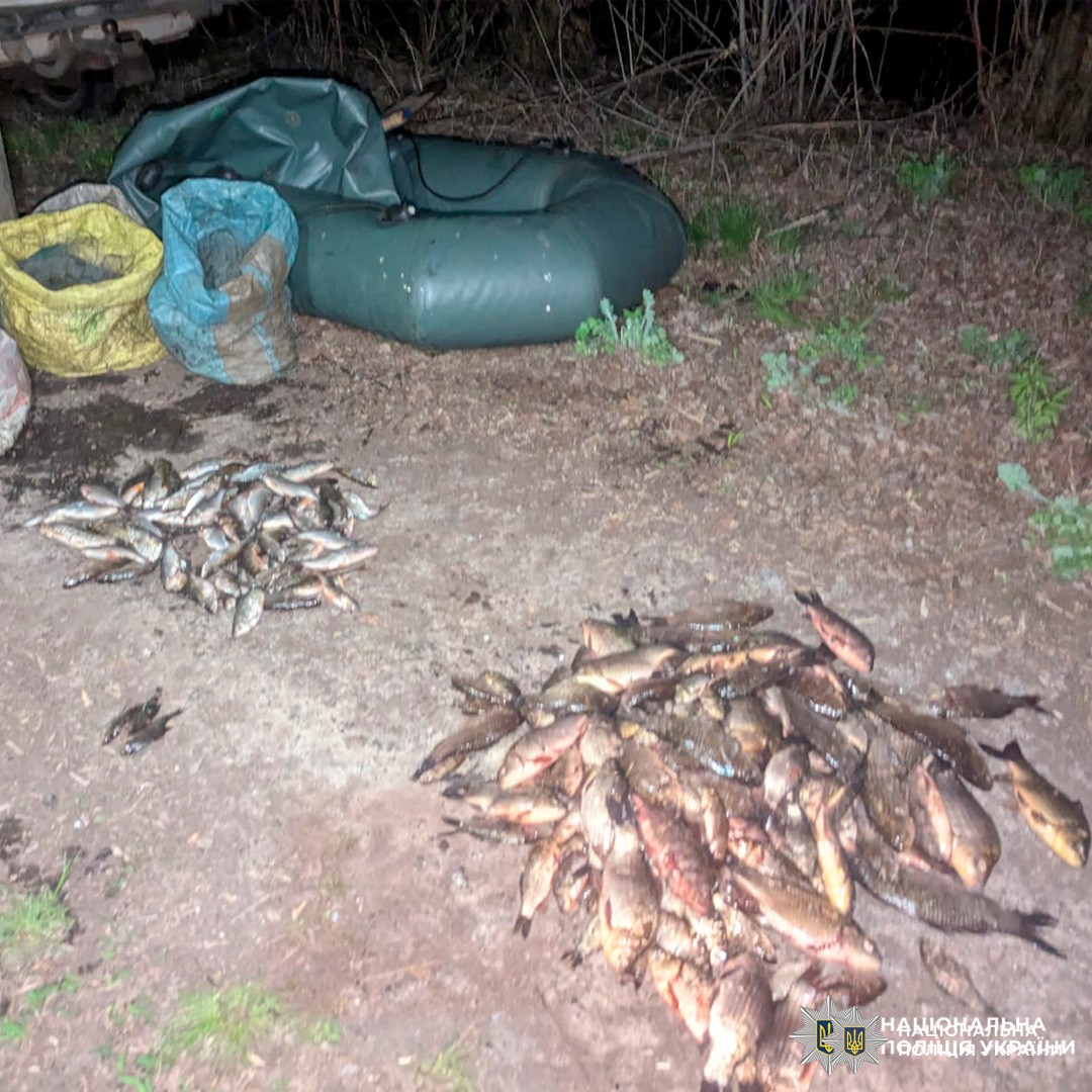 Велика кількість виловленої риби, складеної на землі, зафіксована під час поліцейської операції проти незаконного рибальства.