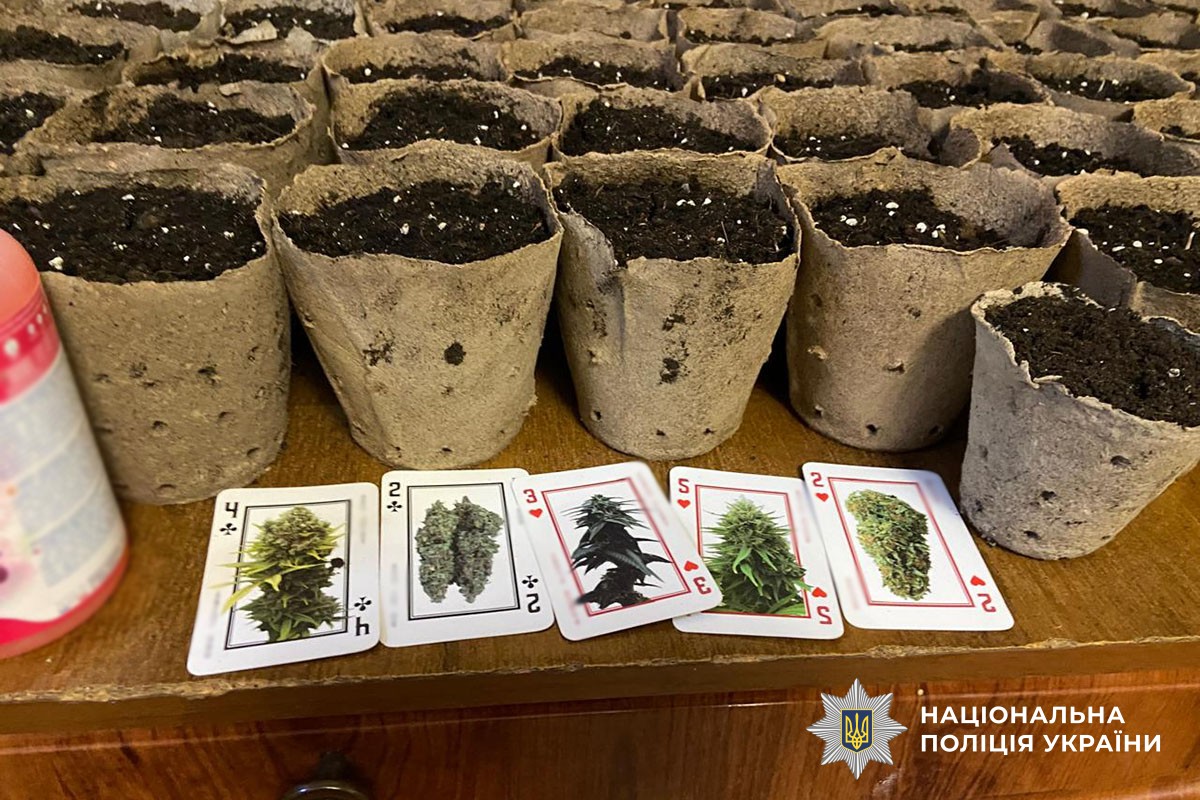 Вилучення наркотичних засобів