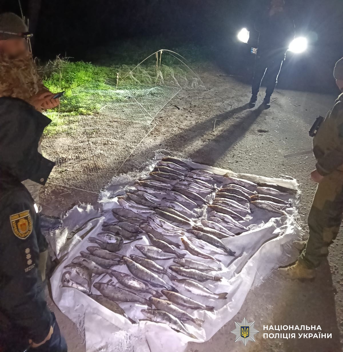 незаконно виловлені водні ресурси