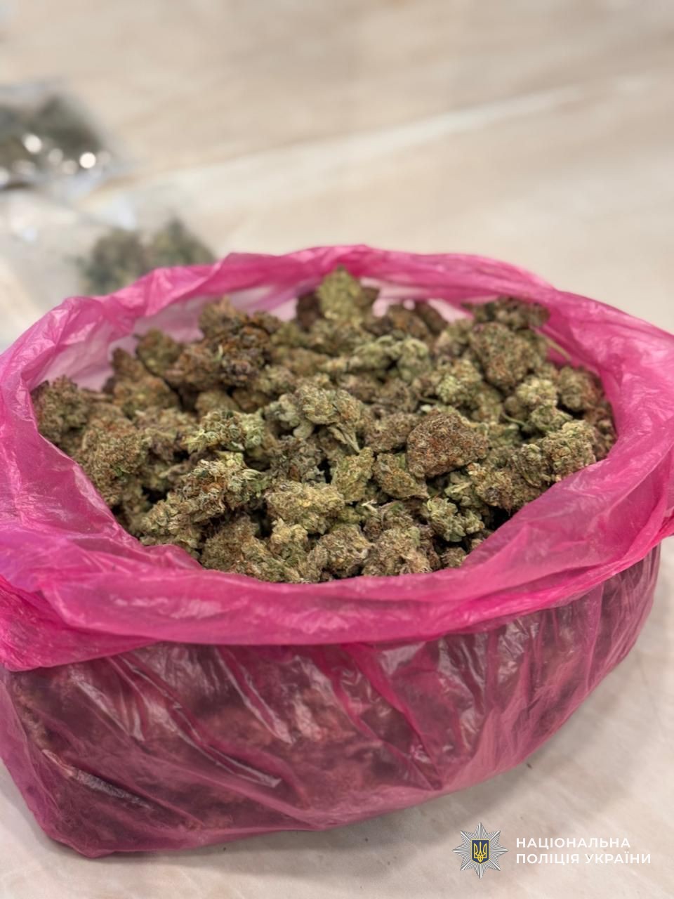 Вилучена у фігурантів партія наркотиків у пакеті